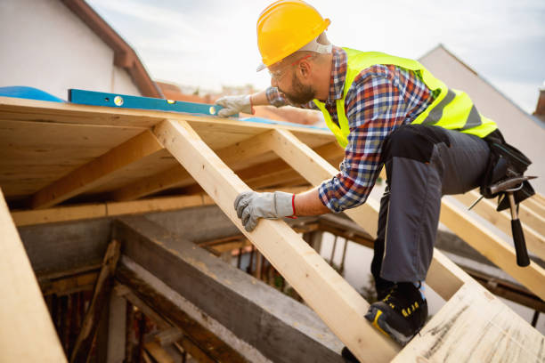 Roof Gutter Cleaning in Erie, IL