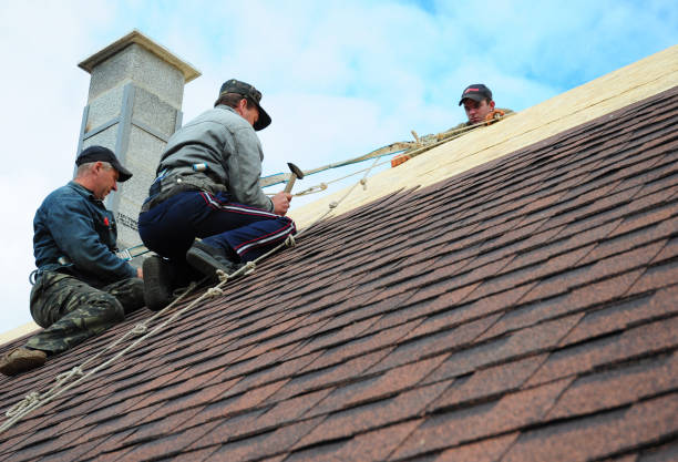 Best Roof Leak Repair  in Erie, IL